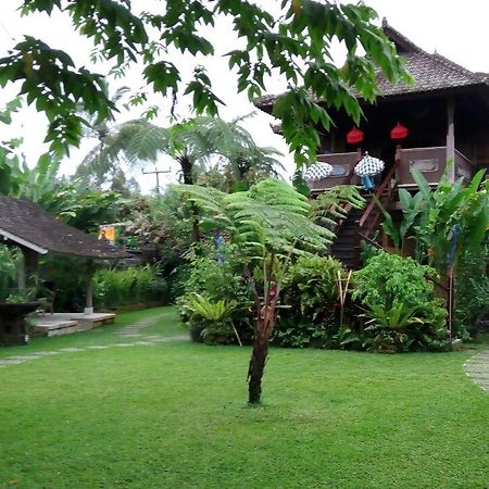 Bali Mountain Retreat Villa Selemadeg  Екстериор снимка