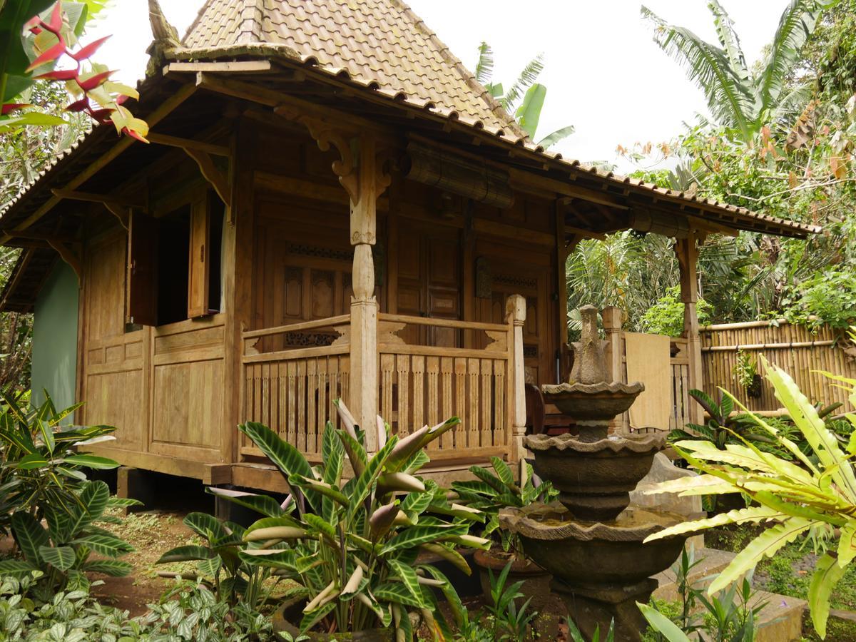 Bali Mountain Retreat Villa Selemadeg  Екстериор снимка