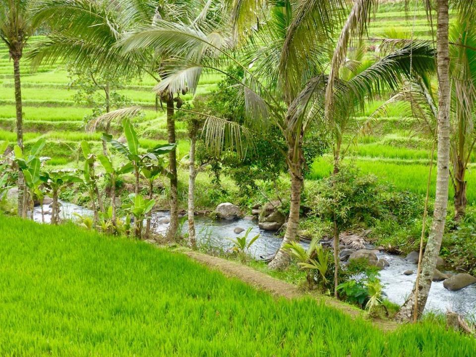 Bali Mountain Retreat Villa Selemadeg  Екстериор снимка