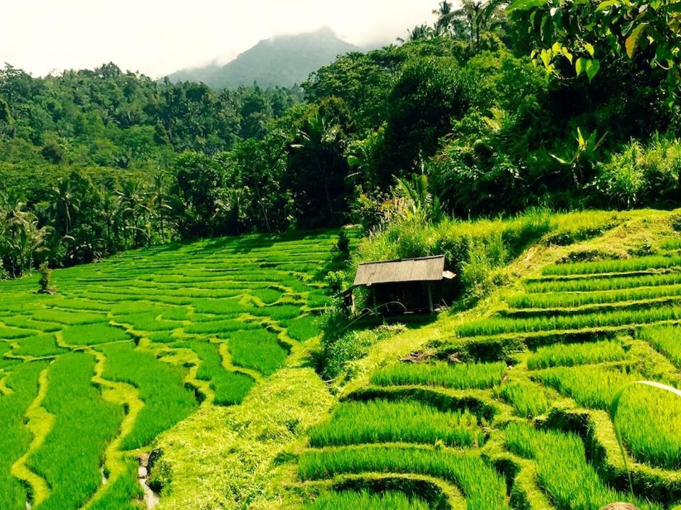 Bali Mountain Retreat Villa Selemadeg  Екстериор снимка