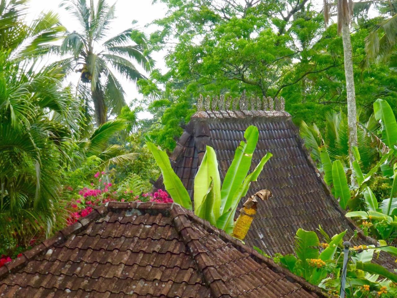 Bali Mountain Retreat Villa Selemadeg  Екстериор снимка