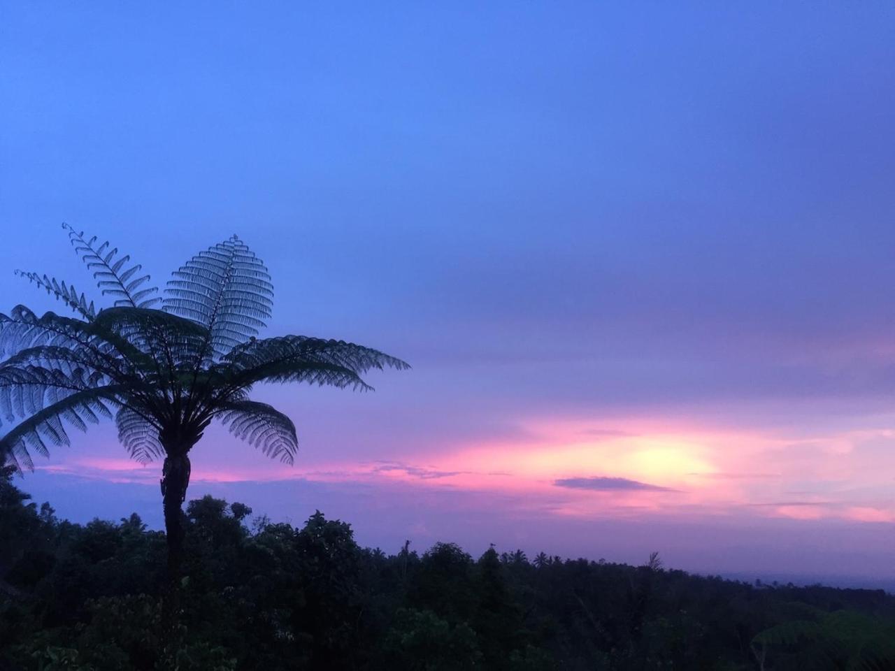 Bali Mountain Retreat Villa Selemadeg  Екстериор снимка