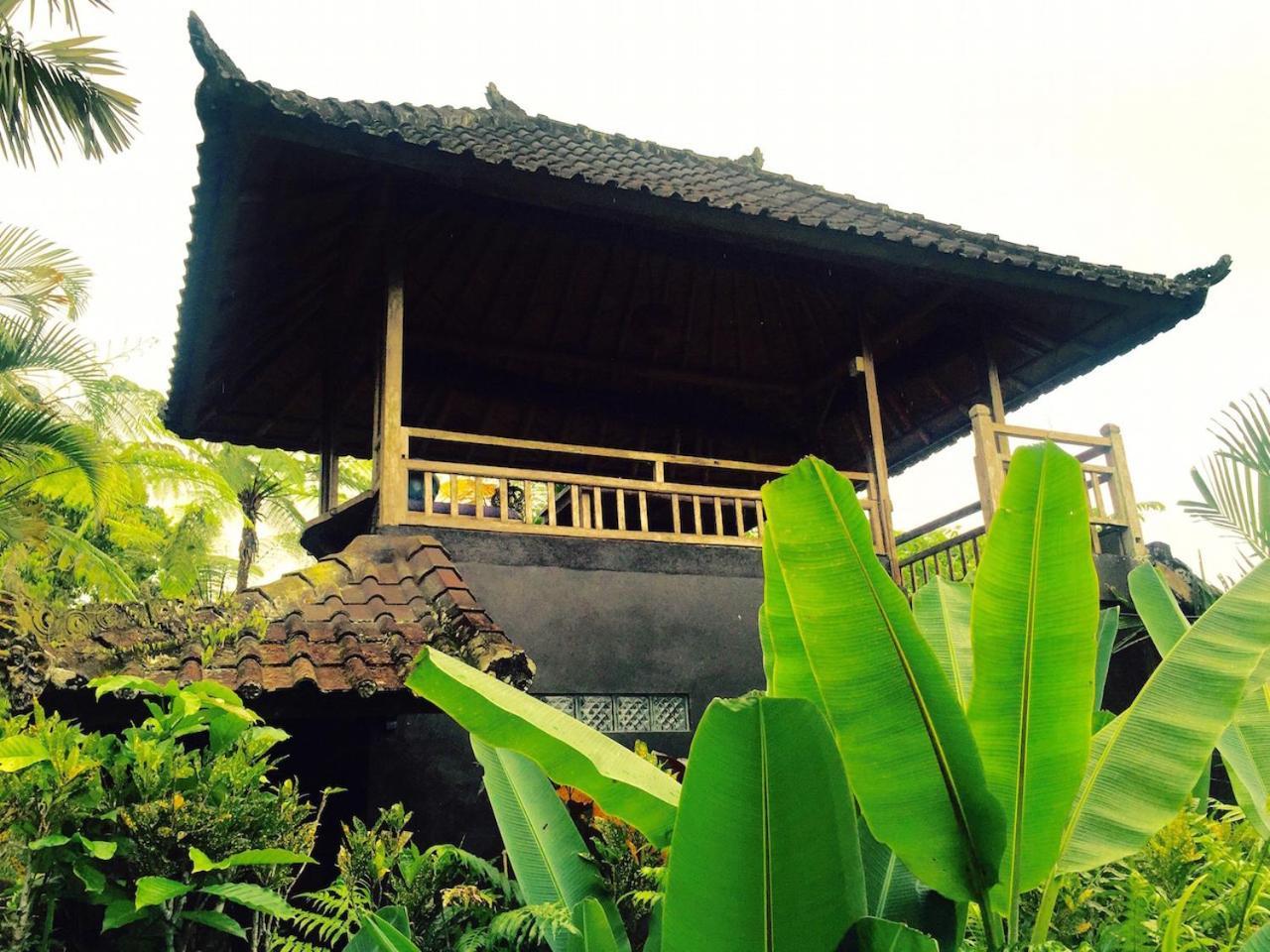 Bali Mountain Retreat Villa Selemadeg  Екстериор снимка